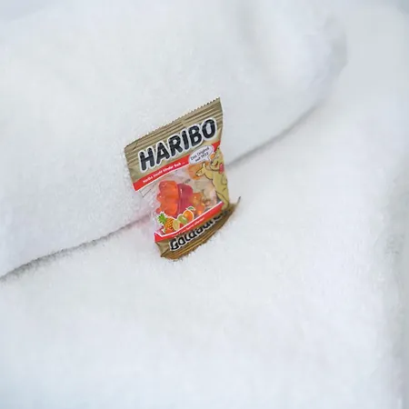 Hotel Home2stay Apartmenthaus Kitchen Parking Highspeed Wifi Washroom *